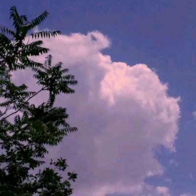 华夏剑侠手游官方下载